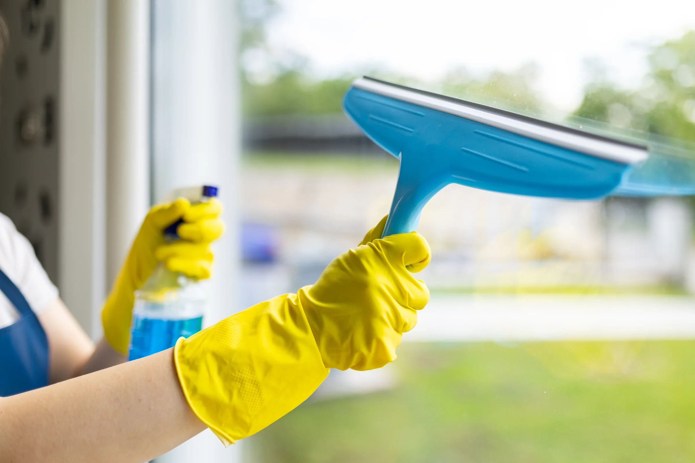 Comprehensive Window and Glass Cleaning